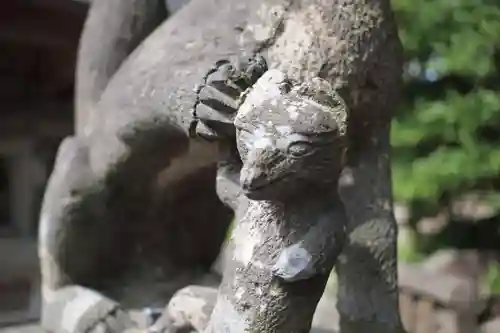 安積國造神社の狛犬