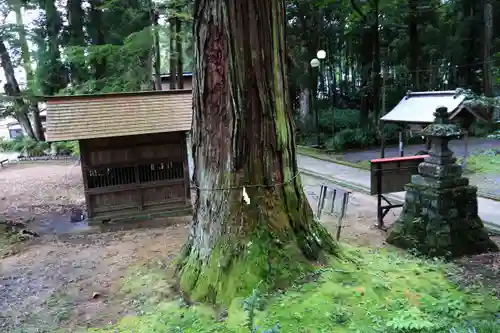 近津神社(茨城県)