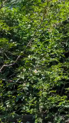 東林院(京都府)