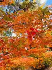 紅葉八幡宮(福岡県)