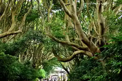 酒列磯前神社(茨城県)