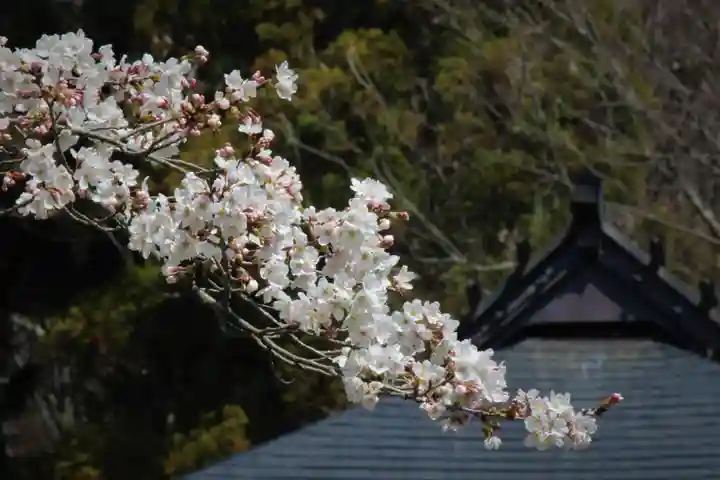 国宝 大法寺の自然