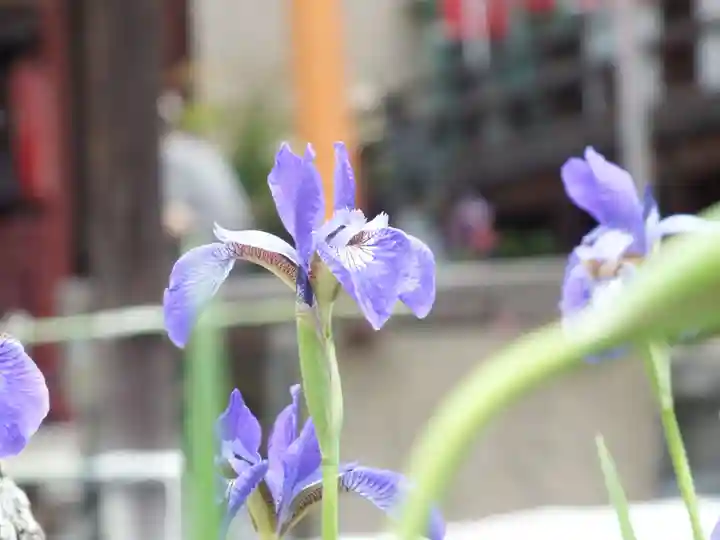 地蔵院(旧法界寺)(滋賀県)