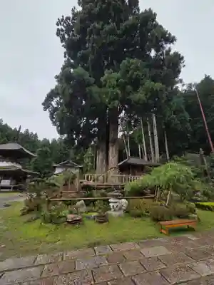 金剛三昧院(和歌山県)