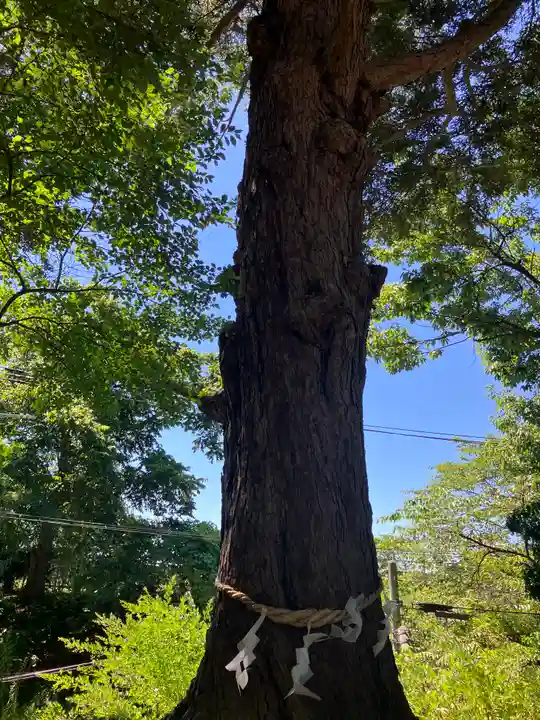花巻神社(岩手県)