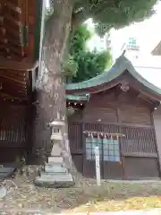 金山神社の自然