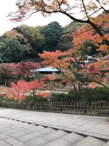 円覚寺の景色