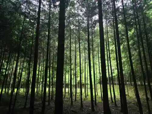 高貴寺(大阪府)