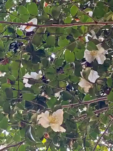 八大神社の自然
