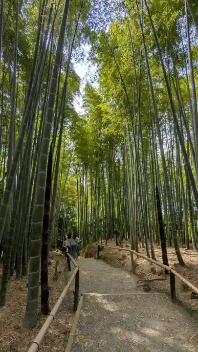 高台寺(高台寿聖禅寺・高臺寺)(京都府)