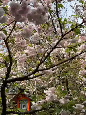 平野神社の{uncategorized: "未分類", other: "その他", undefined: "問題あり", building: "その他建物", grave: "お墓", sacred_gate: "鳥居", guardian: "狛犬", statue: "像", buddha: "仏像", history: "歴史", nature: "自然", garden: "庭園", animal: "動物", pagoda: "塔", temizu: "手水舎", mountain_gate: "山門・神門", sanctuary: "本殿・本堂", subordinate: "末社・摂社", art: "芸術", scenery: "景色", jizo: "地蔵", ema: "絵馬", goshuin: "御朱印", omikuji: "おみくじ", items: "授与品その他", amulet: "お守り", goshuincho: "御朱印帳", eats: "食事", festival: "お祭り", votive_dance: "神楽", shichigosan: "七五三参", wedding: "結婚式", experience: "体験その他", initially: "初詣", around: "周辺", anti_infection: "感染症対策"}