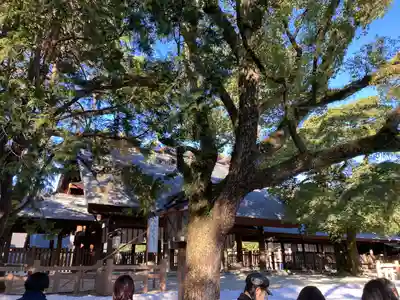 熱田神宮(愛知県)