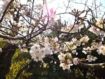 出雲大社倉敷教会(岡山県)