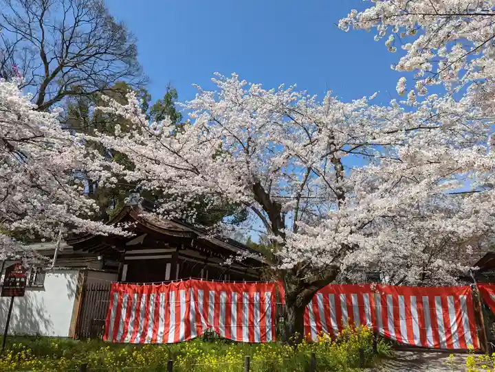 平野神社(京都府)