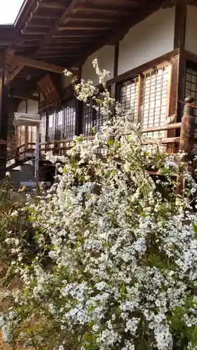 普濟寺の本殿・本堂