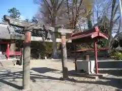 細井神社(群馬県)