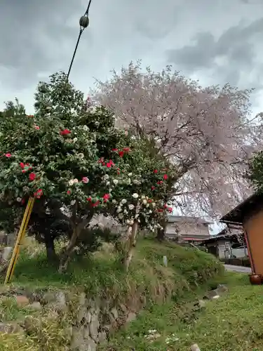 日吉神社(京都府)