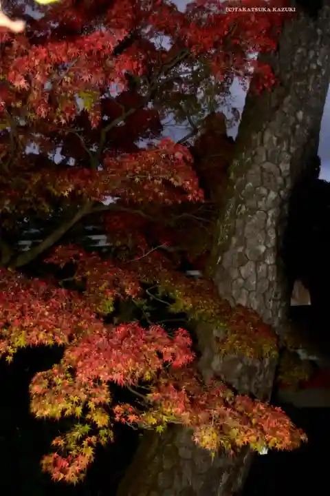 高幡不動尊 金剛寺(東京都)