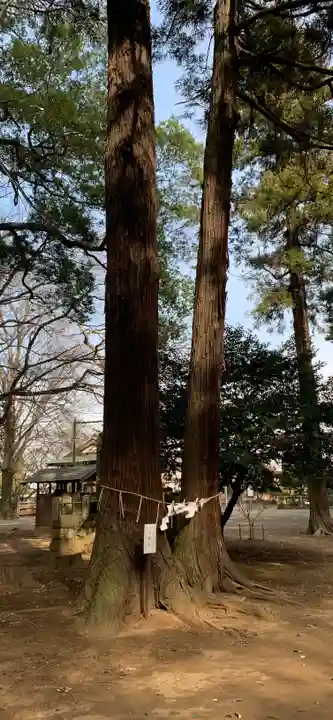 東蕗田天満社の自然