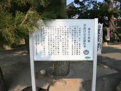 妙善寺（ハズ観音）の歴史