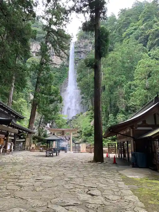 飛瀧神社(熊野那智大社別宮)の自然