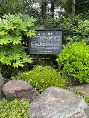 亀ケ池八幡宮の歴史