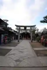 京都ゑびす神社の鳥居