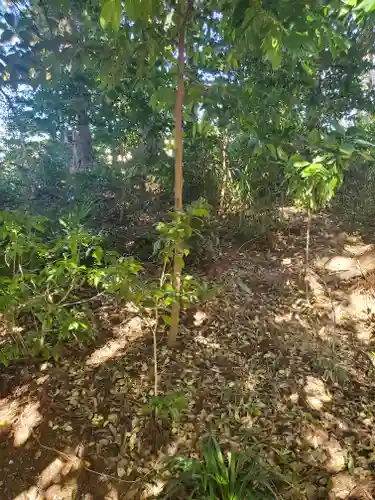 佐野赤城神社の自然