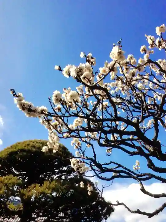 長善寺(東京都)