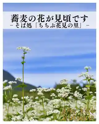 【公式】龍門院常楽寺（秩父札所十一番）(埼玉県)