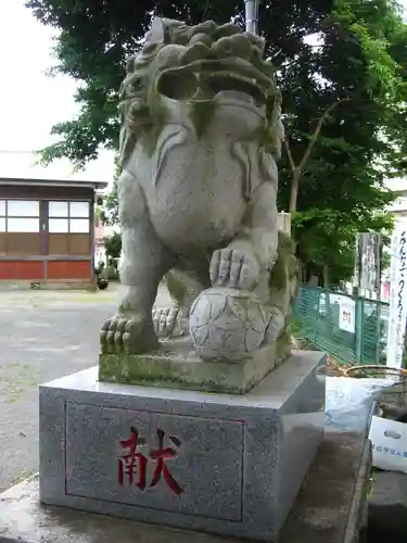 杉山社（上星川鎮守）の狛犬