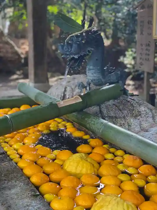 馬見岡綿向神社(滋賀県)