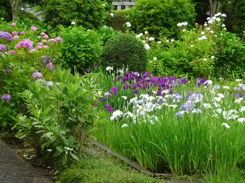 天台宗　長窪山　正覚寺の自然
