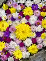 伊達神社の手水舎