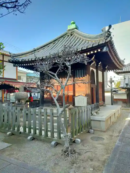 本興寺の{uncategorized: "未分類", other: "その他", undefined: "問題あり", building: "その他建物", grave: "お墓", sacred_gate: "鳥居", guardian: "狛犬", statue: "像", buddha: "仏像", history: "歴史", nature: "自然", garden: "庭園", animal: "動物", pagoda: "塔", temizu: "手水舎", mountain_gate: "山門・神門", sanctuary: "本殿・本堂", subordinate: "末社・摂社", art: "芸術", scenery: "景色", jizo: "地蔵", ema: "絵馬", goshuin: "御朱印", omikuji: "おみくじ", items: "授与品その他", amulet: "お守り", goshuincho: "御朱印帳", eats: "食事", festival: "お祭り", votive_dance: "神楽", shichigosan: "七五三参", wedding: "結婚式", experience: "体験その他", initially: "初詣", around: "周辺", anti_infection: "感染症対策"}
