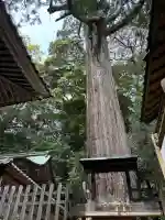 事任八幡宮の{uncategorized: "未分類", other: "その他", undefined: "問題あり", building: "その他建物", grave: "お墓", sacred_gate: "鳥居", guardian: "狛犬", statue: "像", buddha: "仏像", history: "歴史", nature: "自然", garden: "庭園", animal: "動物", pagoda: "塔", temizu: "手水舎", mountain_gate: "山門・神門", sanctuary: "本殿・本堂", subordinate: "末社・摂社", art: "芸術", scenery: "景色", jizo: "地蔵", ema: "絵馬", goshuin: "御朱印", omikuji: "おみくじ", items: "授与品その他", amulet: "お守り", goshuincho: "御朱印帳", eats: "食事", festival: "お祭り", votive_dance: "神楽", shichigosan: "七五三参", wedding: "結婚式", experience: "体験その他", initially: "初詣", around: "周辺", anti_infection: "感染症対策"}