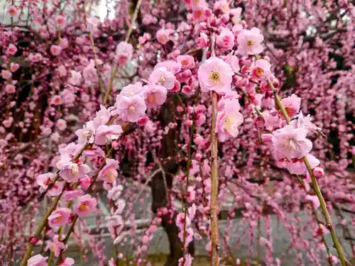 城南宮の庭園