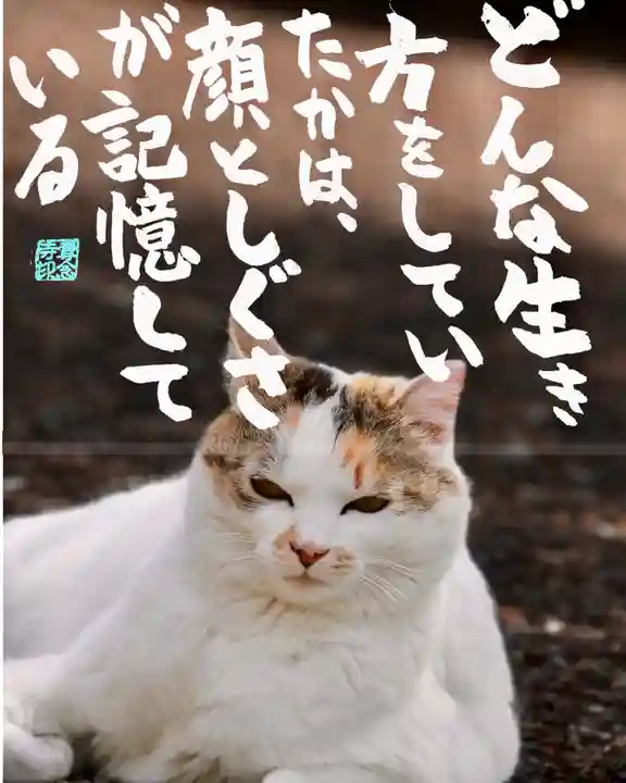 専念寺(大阪府)