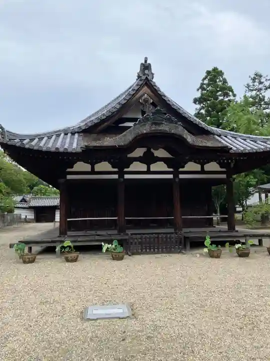 金剛寺(大阪府)