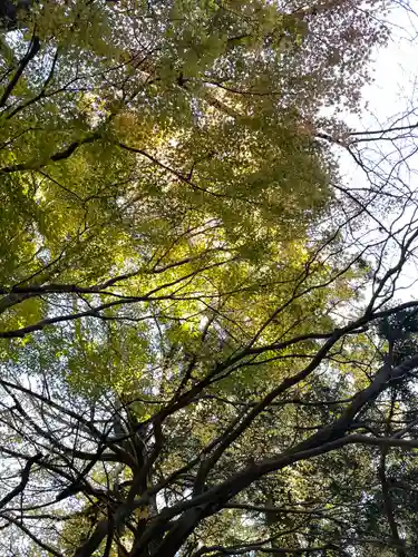 砥鹿神社（奥宮）(愛知県)