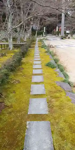 瓦屋寺の庭園