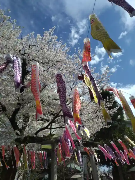 くまくま神社(導きの社 熊野町熊野神社)(東京都)