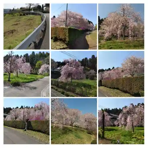 安楽寺の庭園