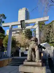 乃木神社の鳥居