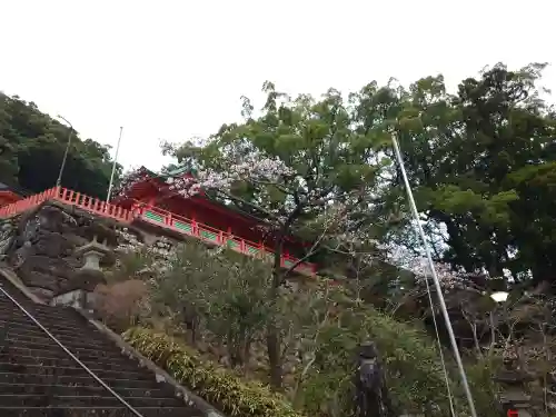 熊野那智大社(和歌山県)
