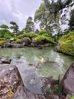 甲斐善光寺(山梨県)