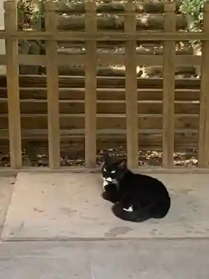御嶽神社の動物