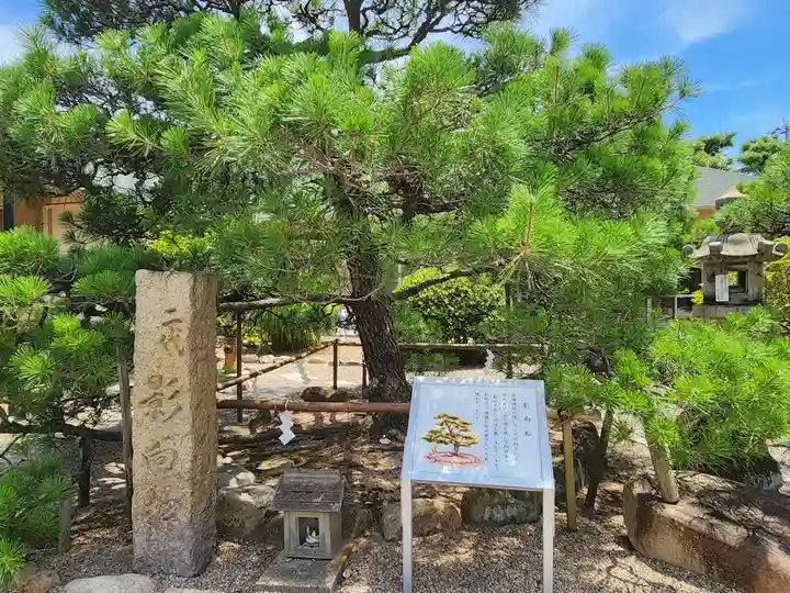 和田神社の自然