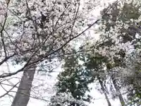 日朝寺(新潟県)