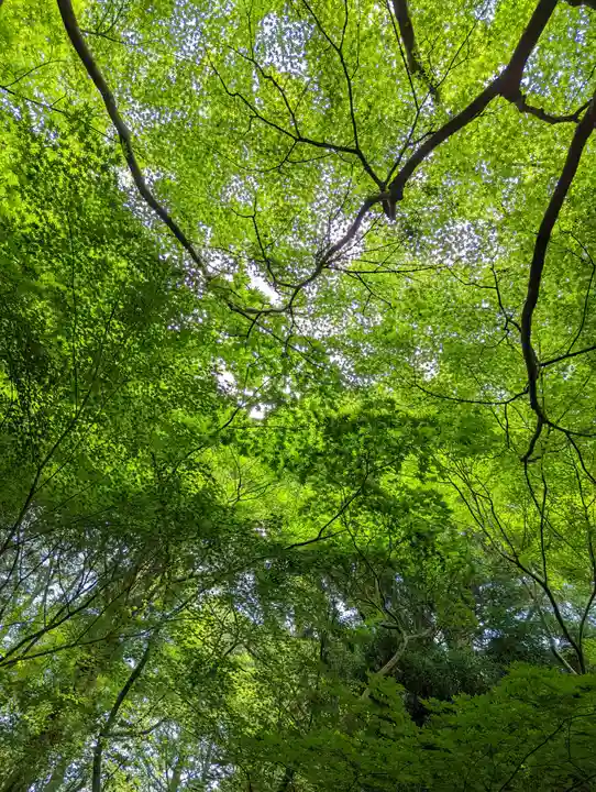 光明寺瑠璃光院(京都府)